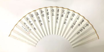 展扇艺之美 扬中华文化
